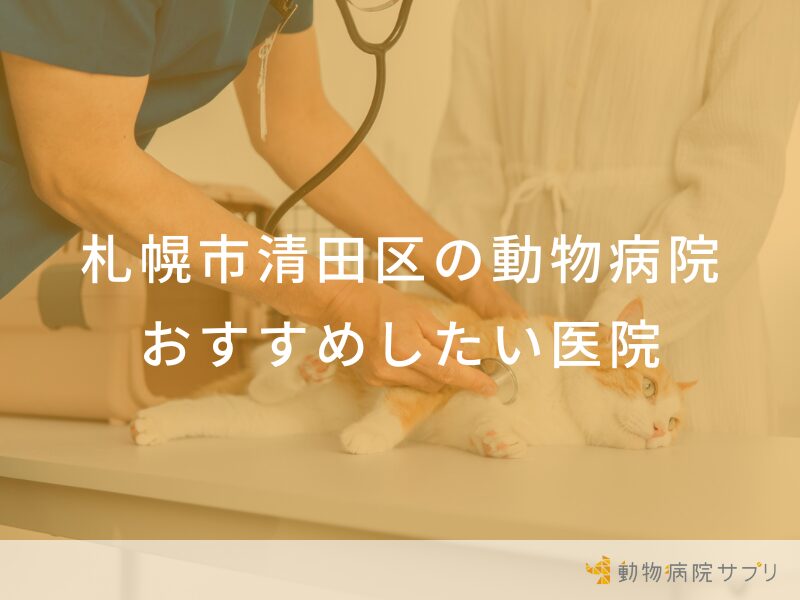 札幌市清田区の動物病院 おすすめしたい医院