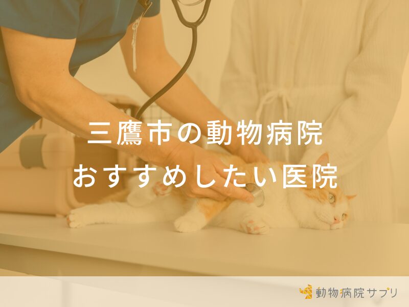 三鷹市の動物病院 おすすめしたい医院