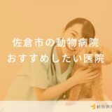 佐野市の動物病院 おすすめしたい医院