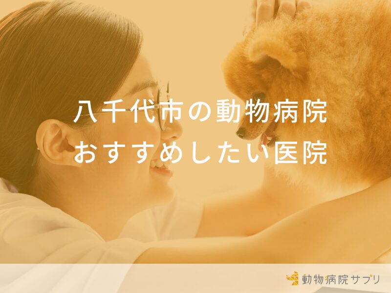 八千代市の動物病院 おすすめしたい医院