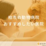 柏市の動物病院 おすすめしたい医院