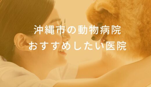 【2025年】沖縄市の動物病院 おすすめしたい2医院