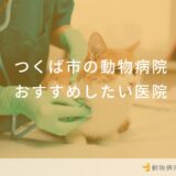 つくば市の動物病院 おすすめしたい医院
