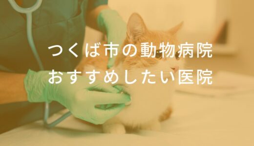 【2025年】つくば市の動物病院 おすすめしたい6医院