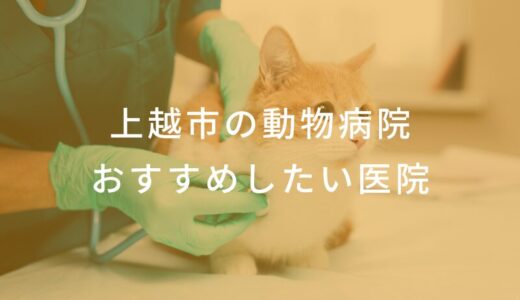 【2025年】上越市の動物病院 おすすめしたい6医院
