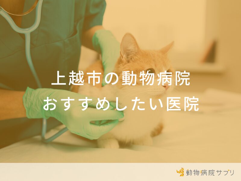 上越市の動物病院 おすすめしたい医院