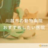 川越市の動物病院 おすすめしたい医院