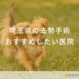 埼玉県の去勢手術おすすめしたい医院