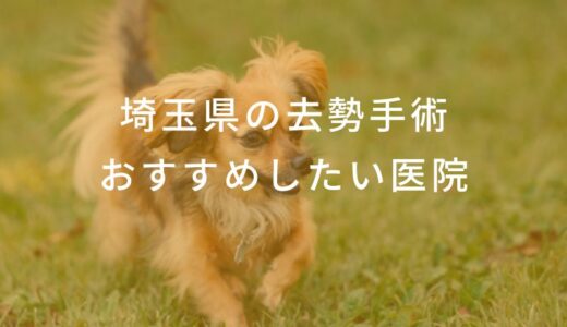 【2025年】埼玉県 去勢手術の動物病院 おすすめしたい6医院