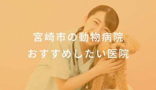 【2025年】宮崎市の動物病院 おすすめしたい6医院