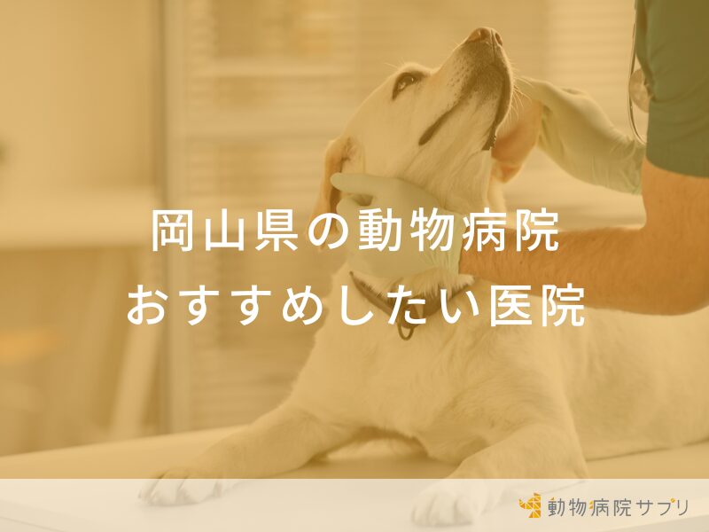 岡山県の動物病院 おすすめしたい医院