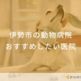 伊勢市の動物病院 おすすめしたい医院