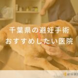 千葉県の避妊手術おすすめしたい医院