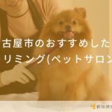 名古屋市のおすすめしたいトリミング(ペットサロン)