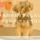 大阪府のおすすめしたいトリミング(ペットサロン)