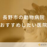 長野市の動物病院 おすすめしたい医院