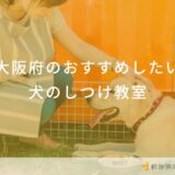 大阪府のおすすめしたい犬のしつけ教室