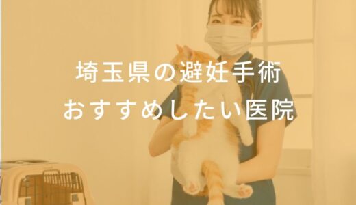 【2025年】埼玉県 避妊手術の動物病院 おすすめしたい6医院