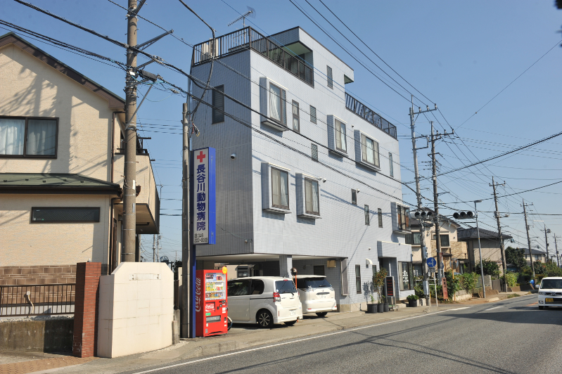 長谷川動物病院photo