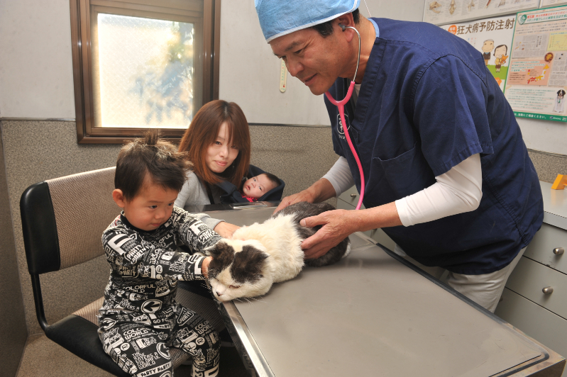長谷川動物病院photo