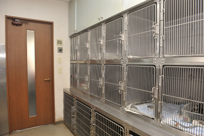 長谷川動物病院photo