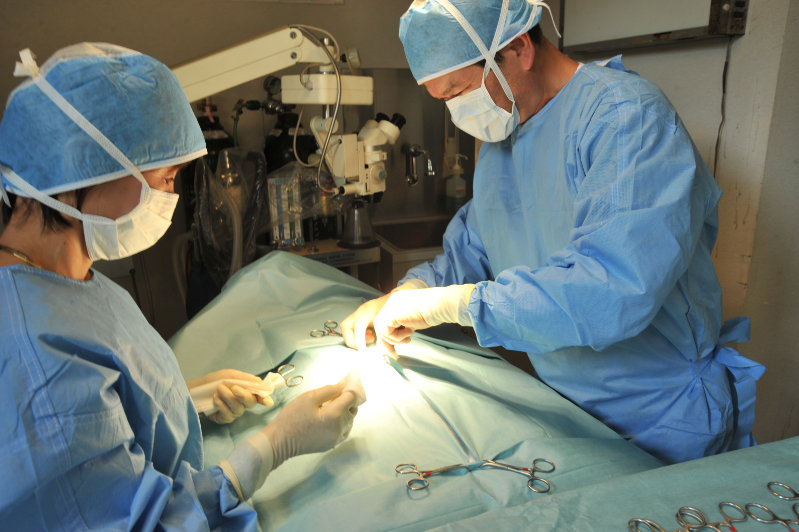 長谷川動物病院photo