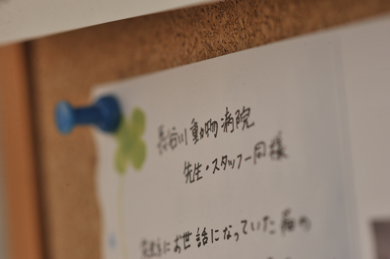 長谷川動物病院photo