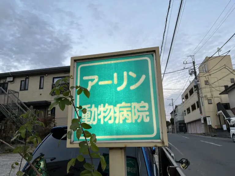 アーリン動物病院