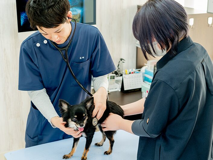 あまの動物病院