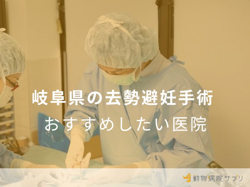 岐阜県の去勢避妊手術 おすすめしたい医院