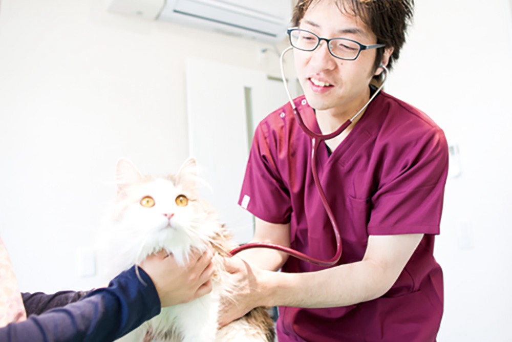みくまり動物病院
