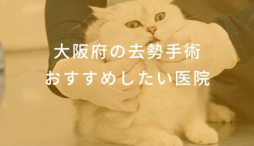 【2025年】大阪府 去勢手術の動物病院  おすすめしたい6医院