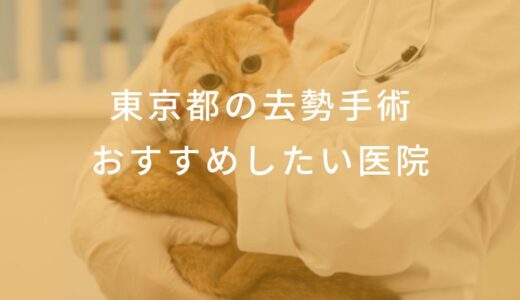 【2025年】東京都 去勢手術の動物病院  おすすめしたい6医院