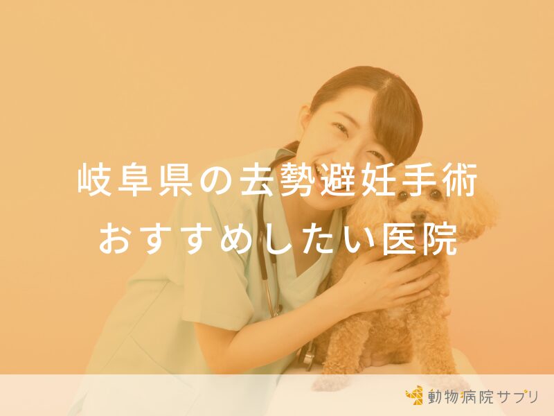 岐阜県の避妊・去勢手術 おすすめしたい医院