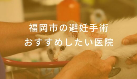 【2025年】福岡市の避妊手術 おすすめしたい4医院