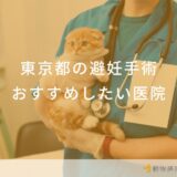 【2025年】東京都 避妊手術の動物病院  おすすめしたい6医院