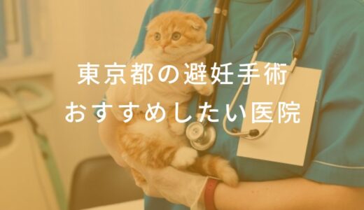 【2025年】東京都 避妊手術の動物病院  おすすめしたい6医院