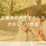 名古屋市のおすすめしたい犬のしつけ教室