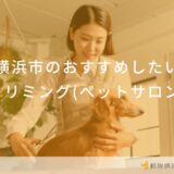 横浜市のおすすめしたいトリミング(ペットサロン)