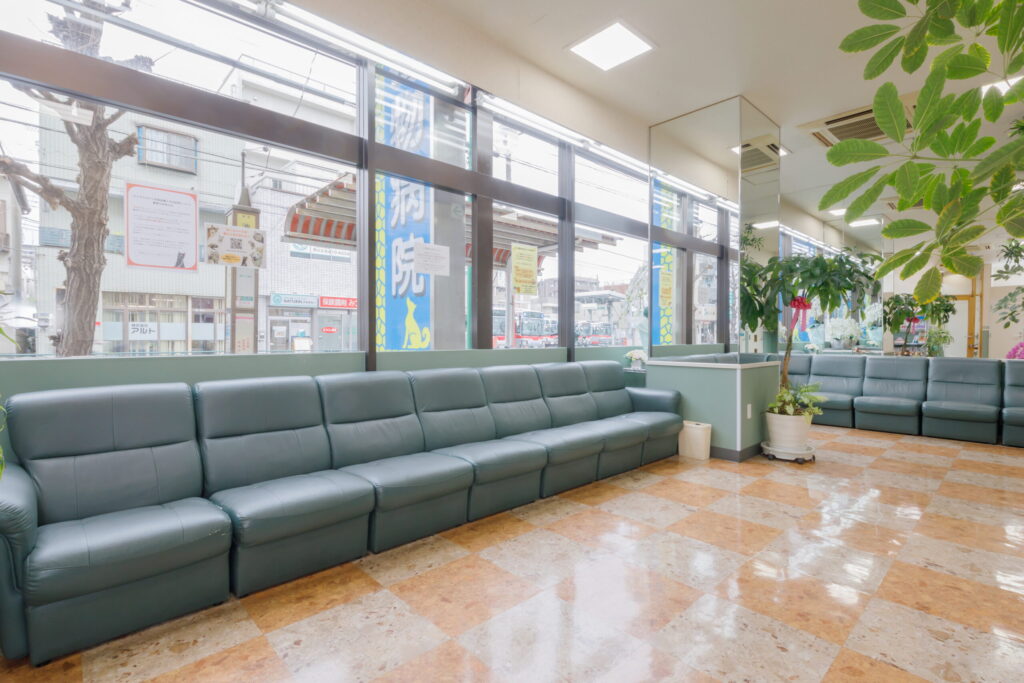 大田中央動物病院