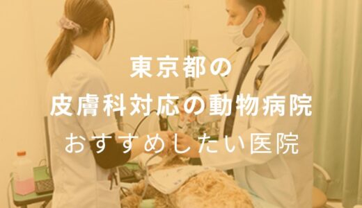 【2024年】東京都の皮膚科対応の動物病院 おすすめしたい5医院