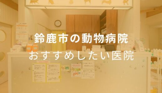 【2024年】鈴鹿市の動物病院 おすすめしたい4医院