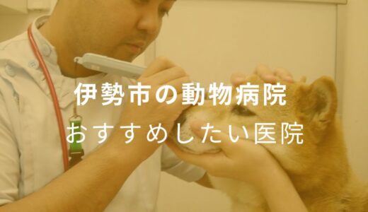 【2024年】伊勢市の動物病院 おすすめしたい5医院