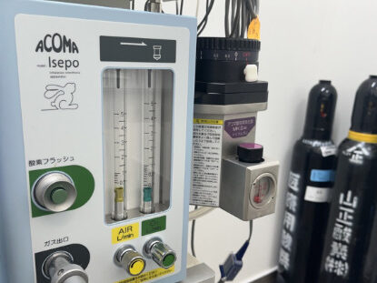 もものはなペットクリニック