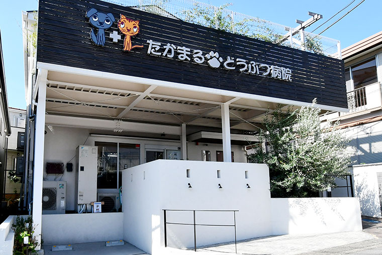 たかまるどうぶつ病院