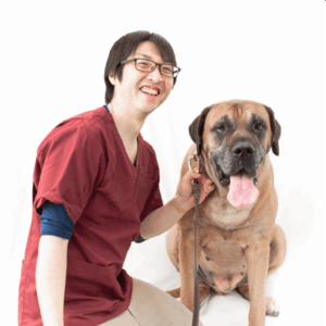 みくまり動物病院