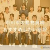 【2026年】市川市の動物病院 おすすめしたい6医院