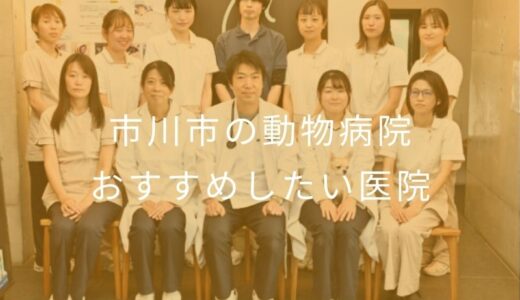 【2026年】市川市の動物病院 おすすめしたい6医院