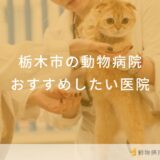 栃木市の動物病院おすすめしたい医院