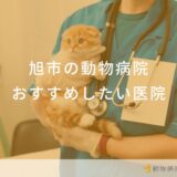 【2025年】旭市の動物病院 おすすめしたい3医院